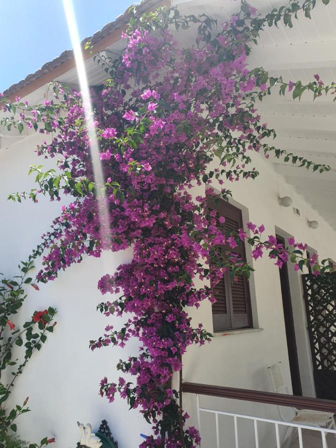 Daglas Seaside Studios Νυδρί Εξωτερικό φωτογραφία